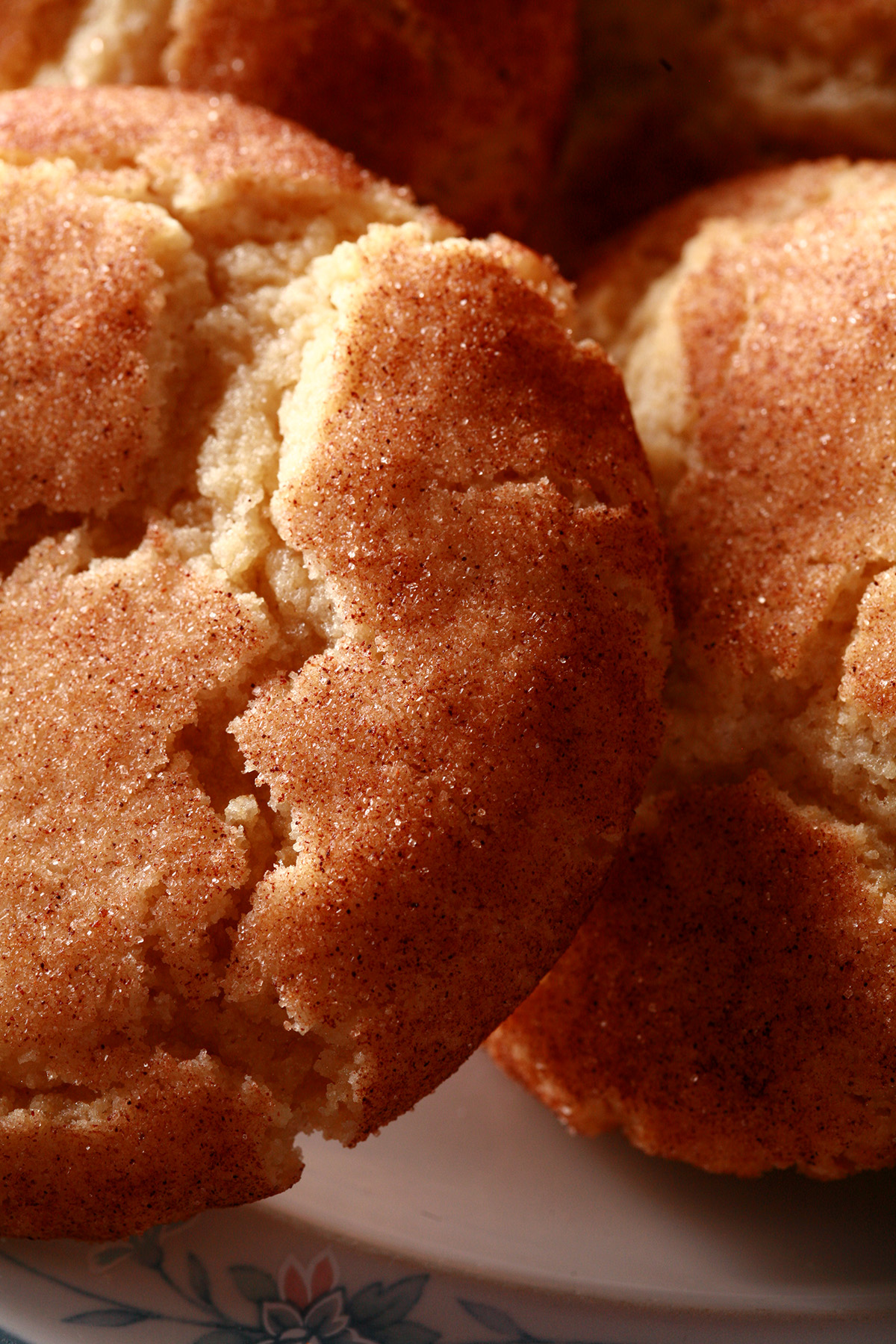 A plate of gluten free snickerdoodle cookies.