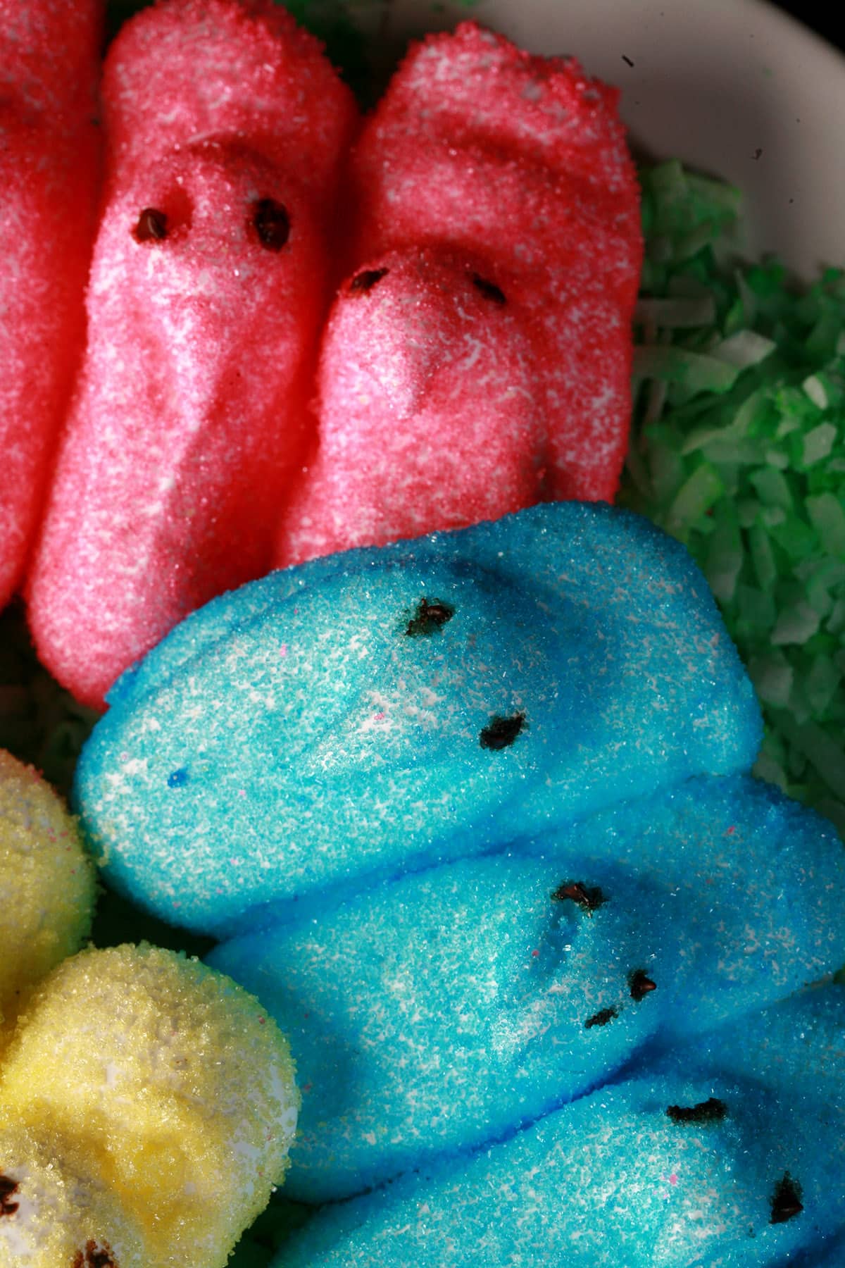 Pink, yellow, and blue chick shaped homemade marshmallow peeps on a bed of green coconut.