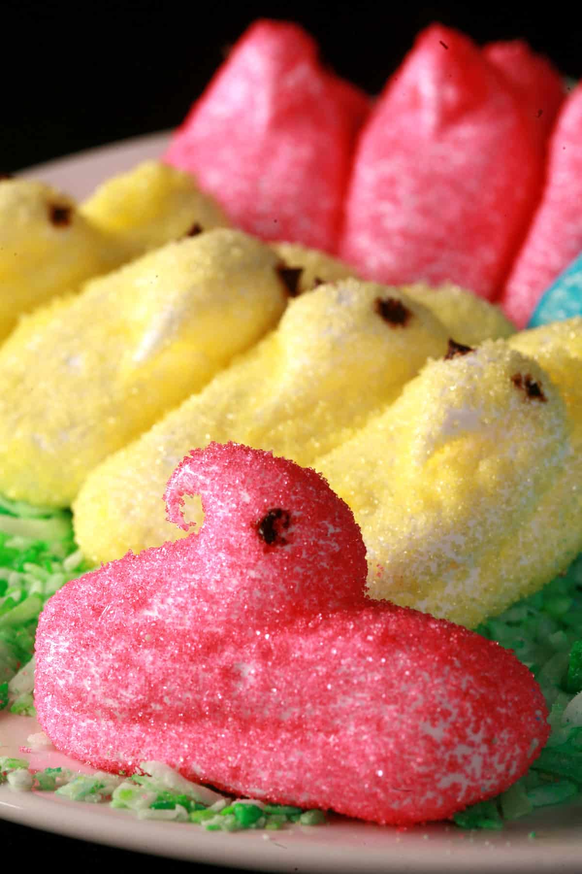 Pink, yellow, and blue chick shaped homemade peeps on a bed of green coconut.