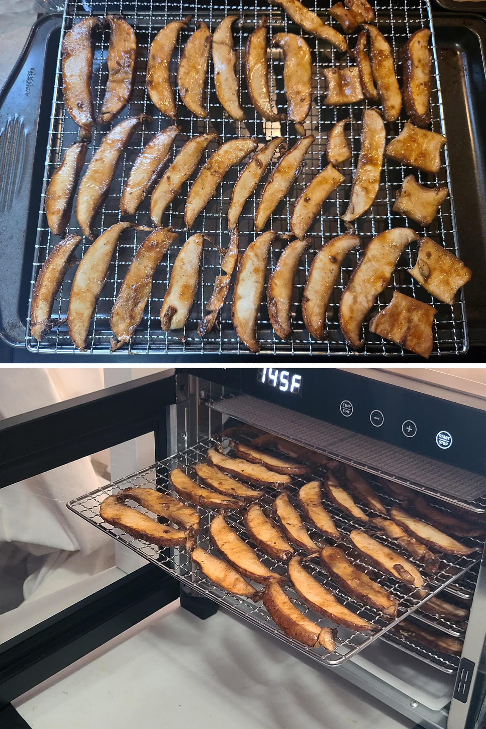 2 part image showing marinated mushroom slices being dehydrated in a food dehydrator.